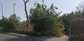 Torre del Greco: la pinetina De Nicola è del Comune