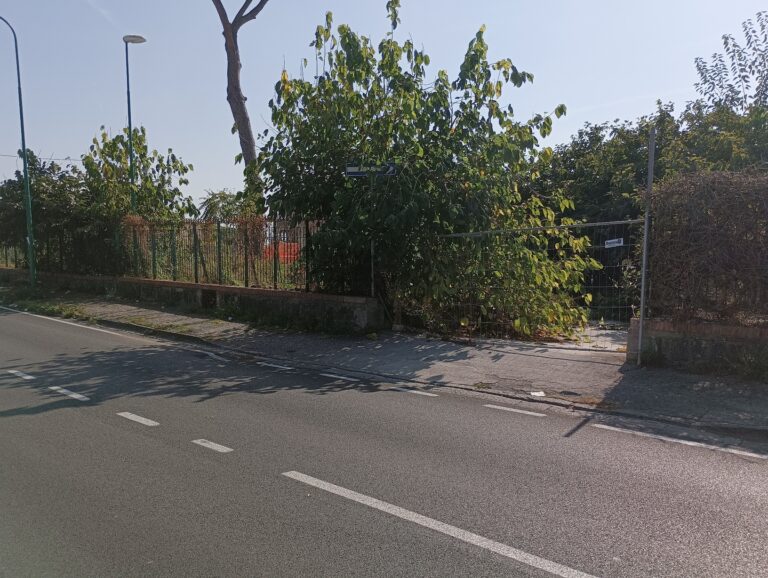 Torre del Greco: la pinetina De Nicola è del Comune
