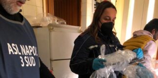 Palma Campania, sequestrati oltre tre quintali di alimenti conservati illegalmente. Sigilli a ristorante