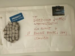 La maledizione delle pietre degli Scavi di Pompei, quei biglietti di scuse da tutto il mondo: tra leggende, sfortuna e mosaici