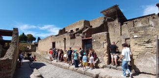 Il 2023 al Parco Archeologico di Ercolano si è chiuso con 563.165 visitatori, il numero di accessi più alto di sempre, superato il numero di visitatori del 2019, anno di pre-pandemia. Ai precedenti bisogna aggiungere anche i dati di visita alla mostra Materia sui legni dell’antica Ercolano svoltasi presso la Reggia di Portici, con i quali si arriva a sfondare il tetto dei 600.000 ingressi. Un successo che conferma anche dal punto di vista quantitativo la proiezione del Parco verso una crescita qualitativa dell’offerta culturale. Piena soddisfazione espressa dal Direttore del Parco Francesco Sirano, che dichiara: “Per un archeologo dirigere un Parco Archeologico come quello di Ercolano è la fortuna della vita! Poi superare certi traguardi rappresenta l’appagamento per le giornate lavorative che, insieme ad uno staff eccezionale e appassionato, viviamo sempre con grande gratificazione. Dall’inizio del mio mandato, negli anni noi tutti del Parco siamo stati spettatori/attori di una nuova impostazione dell’offerta culturale alla quale è corrisposta una progressiva crescita del numero dei visitatori, bloccato solo dalla poco felice parentesi del Covid. Il 2023 per il Parco rappresenta il giro di boa; con iniziative culturali (quali la Mostra “Materia”, i Close Up cantieri, I Venerdì di Ercolano, gli Ozi di Ercole, visite al teatro antico, Il Giardino degli Ozi), offerte diversificate e numeri che hanno superato ogni anno e ci aspettano solo nuove soddisfazioni e appagante impegno, consolideremo questa crescita con offerte culturali sempre più attente, confermando l’attenzione posta per la comunità territoriale e gli enti circostanti”. Sulla scorta dei positivi riscontri del 2023 è già partita la prima delle tante iniziative del 2024 dedicate all’ampliamento della fruizione con l’apertura della Casa della Gemma, gioiello tra le più grandi dell’intero sito archeologico, famosa per i preziosi mosaici pavimentali; aperta al pubblico in questi giorni, sarà visitabile fino all’11 aprile. La visita alla domus, accessibile dalle 9 alle 13, è inclusa nel biglietto di ingresso al Parco - per info e orari https://ercolano.beniculturali.it/oraricontatti/. Dal mese di febbraio verrà riproposto inoltre Close up cantieri, format caro al pubblico del Parco, visita guidata ai cantieri in veste di diretti protagonisti per immergersi nel dietro le quinte dei cantieri di restauro.