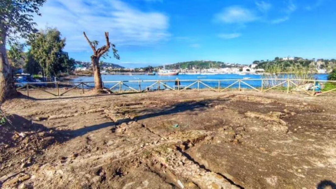 Villa Plinio a Bacoli A Bacoli la villa di Plinio il Vecchio, “…che più Plinio non si può”