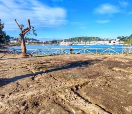 A Bacoli la villa di Plinio il Vecchio, “…che più Plinio non si può”