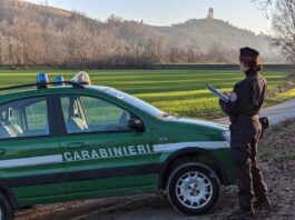 Carabinieri Forestali, report attività 2023: intensificato il contrasto al consumo illegale di suolo ed all’abusivismo