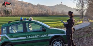 Carabinieri Forestali, report attività 2023: intensificato il contrasto al consumo illegale di suolo ed all’abusivismo
