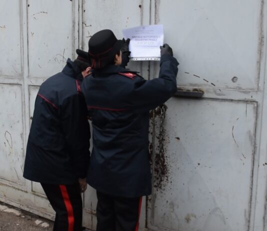 Poggiomarino, capannone abusivo sequestrato dai Carabinieri Forestali