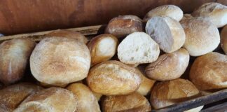 Qualiano: insetti nei locali. Panificio sospeso durante dei controlli alimentari