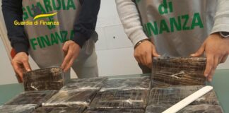Droga dalla Spagna: 16 arresti, sgominati gruppi con base a Napoli Narcotraffico dalla Spagna verso Avellino, Crotone ed Emilia Romagna: 16 arresti, sgominati 4 gruppi con base a Napoli