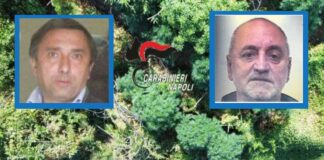 Lettere, omicidio di Ciro Gargiulo: controlli e indagini a tappeto. Sullo sfondo il business della marijuana in mano alla camorra