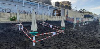 Torre del Greco: protocollo “Comuni amici delle tartarughe marine”