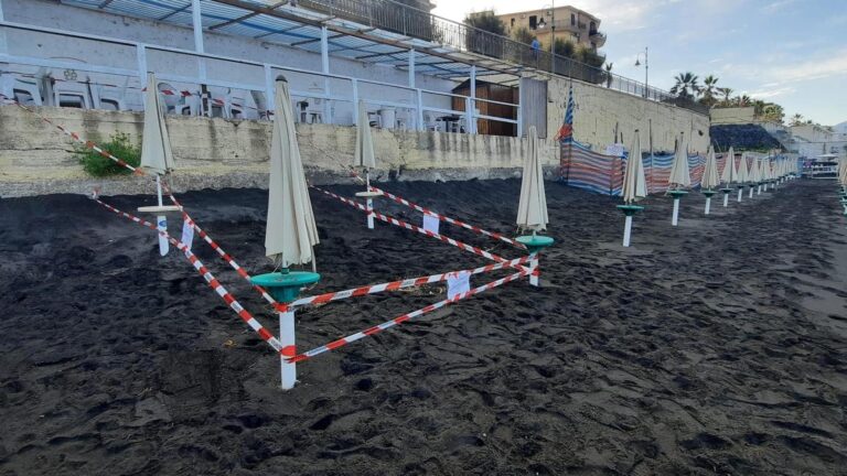 Torre del Greco: protocollo “Comuni amici delle tartarughe marine”
