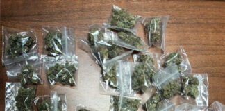 Pozzuoli, Licola: carabinieri arrestano pusher