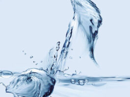 Protocollo d’intesa tra Ente Idrico Campano (Eic) e Ufficio Scolastico Regionale: un Festival canoro incentrato sull’acqua