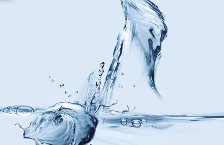 Protocollo d’intesa tra Eic e Scuola: al via il Festival Note d’Acqua