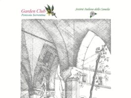 A Sorrento, due giorni dedicati ai fiori, con la XVII edizione della Mostra della Camelia