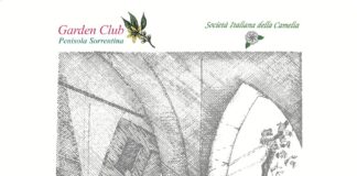 A Sorrento, due giorni dedicati ai fiori, con la XVII edizione della Mostra della Camelia