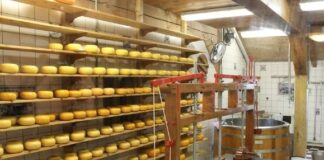 Gragnano: sanzionata la proprietaria di un caseificio per 13mila euro