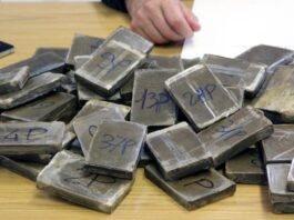 Torre del Greco: padre e figlio in manette, sequestrano quasi 4 chili di hashish