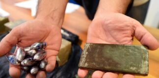 Dilagano hashish e marijuana a Napoli e provincia, segnalati in 475