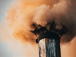 Mal’Aria di città 2024. I nuovi dati di Legambiente sull’inquinamento atmosferico nelle città campane