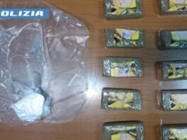 Procida: cerca di celare la droga intingendola di menta. Arrestato 28enne