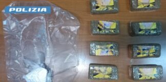 Procida: cerca di celare la droga intingendola di menta. Arrestato 28enne