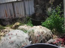 Torre del Greco: pulizia nell'area del porto, portate via reti da pesca abbandonate