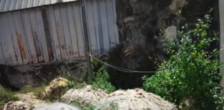 Torre del Greco: pulizia nell'area del porto, portate via reti da pesca abbandonate