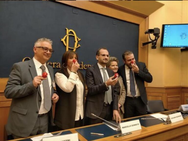 Clownterapia, FdI presenta proposta di legge: “Giusto riconoscimento ai volontari”