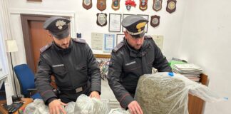 Casola, due borsoni di marijuana rinvenuti nella zona dell'omicidio di Ciro Gargiulo: sequestrati 33 kg di marijuana