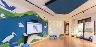 Sant’Anastasia, Terre di Campania inaugura il Museo Multimediale delle Acque Campane