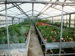 Pozzuoli, via alla realizzazione della palazzina laboratori per l’Isis "Falcone" di Licola con 2,7 milioni di fondi Pnrr