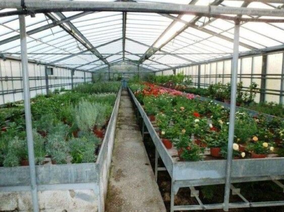 Pozzuoli, via alla realizzazione della palazzina laboratori per l’Isis "Falcone" di Licola con 2,7 milioni di fondi Pnrr