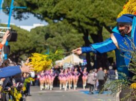 Strada della Mimosa-Route du Mimosa, Festa della Mimosa