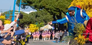 Strada della Mimosa-Route du Mimosa, Festa della Mimosa