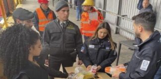 Napoli, scoperto nel porto carico di cosmetici all’idrochinone Napoli, scoperto nel porto carico di cosmetici all'idrochinone: sequestrati anche farmaci, alimenti e bevande alcoliche. L'operazione della Guardia di Finanza