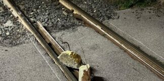 Pompei, presenze “pericolose” sui binari Circum: ipotesi sabotatore Pompei, presenze "pericolose" sui binari della Circumvesuviana: scattano le indagini, ipotesi sabotatore. Paura tra utenti e personale a bordo dei vagoni