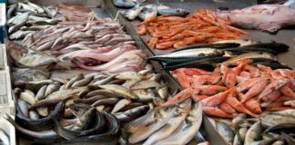 Torre del Greco: controlli in materia di pesca al mercato civico