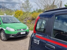 Nola, denunciato titolare di autofficina per gestione illecita di rifiuti