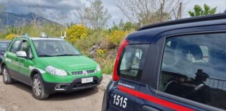 Nola, denunciato titolare di autofficina per gestione illecita di rifiuti