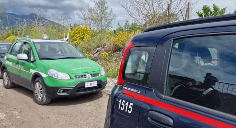 Nola, denunciato titolare di autofficina per gestione illecita di rifiuti Nola, denunciato titolare di autofficina per gestione illecita di rifiuti