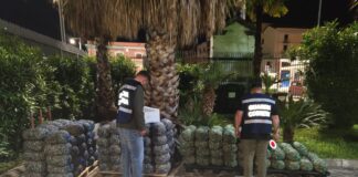 Castellammare, trasportava 2.5 tonnellate di vongole “fuorilegge” Castellammare, trasportava 2.5 tonnellate di vongole "fuorilegge": sanzionato e merce sequestrata. Il blitz della Guardia Costiera a tutela della filiera ittica