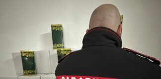 Caivano, in auto quasi una tonnellata di olio d'oliva contraffatto: denunciata 27enne. Aveva con sé anche centinaia di etichette falsificate