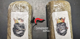 Ischia: droga in porto, 20enne arrestato dai Carabinieri appena sbarcato sull'isola