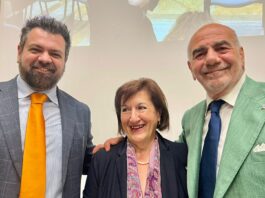 Il presidente dell’Ente Idrico Campano, Luca Mascolo, nominato vicepresidente di Anea