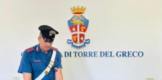 Massa di Somma: carabinieri arrestano madre e figlio