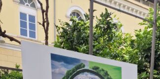 In The Green Future