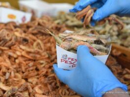 Castellabate, 13esima edizione della “Festa del Pescato di Paranza”: appuntamento a Villa Matarazzo dal 31 maggio al 2 giugno