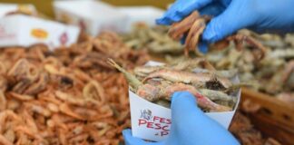 Castellabate, 13esima edizione della “Festa del Pescato di Paranza”: appuntamento a Villa Matarazzo dal 31 maggio al 2 giugno