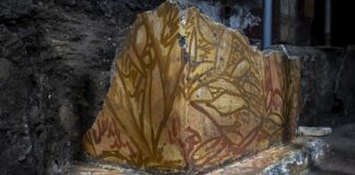 A Pompei scoperto il sacello della Villa di Civita Giuliana